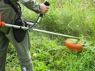 Пакос травы триммером