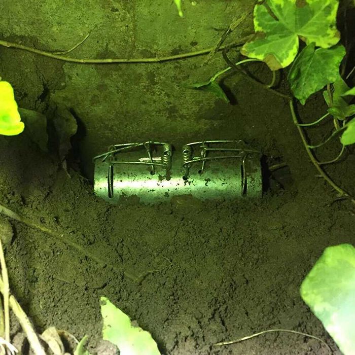 Cursa pentru cartite cartita. Nou ambalata!!