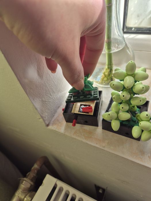 Lego Botanical Suculente