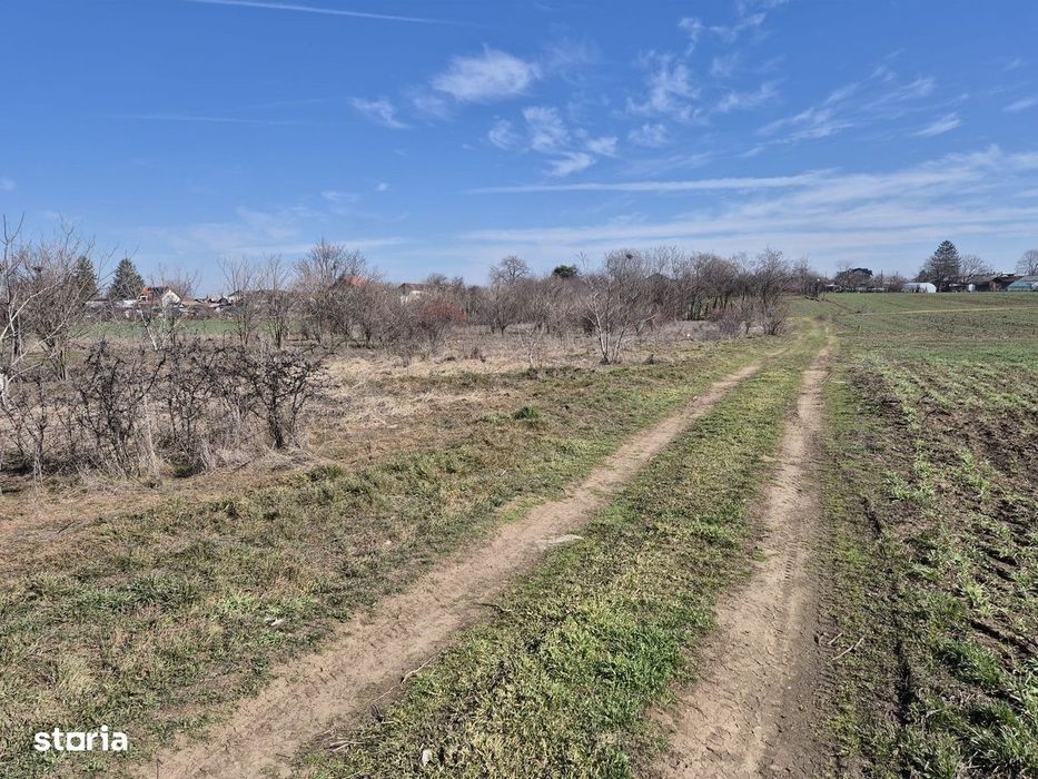 Trestieni - Ulmi, vanzare teren 1.663mp, intravilan