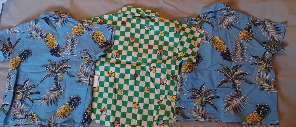 camasi noi baieti (set 3 buc): 3/4 ani