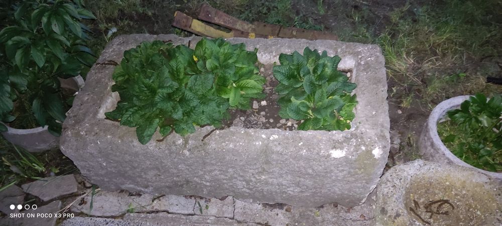 Автентично корито от ръчно дялан камък ялак