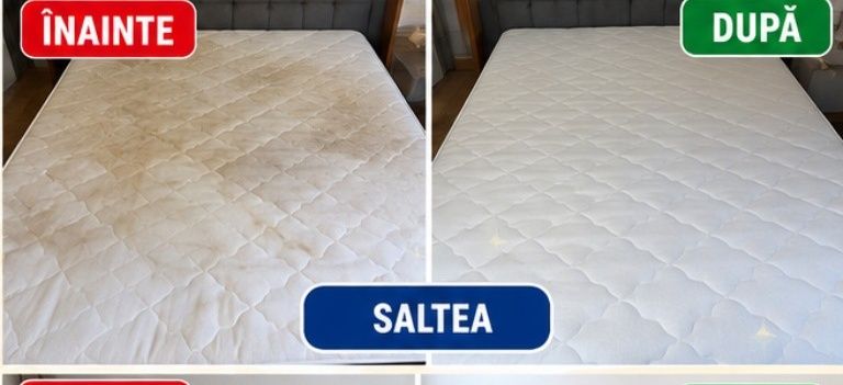 Curățare profesionala