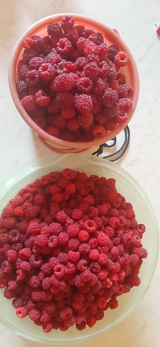 Продам малину свежую