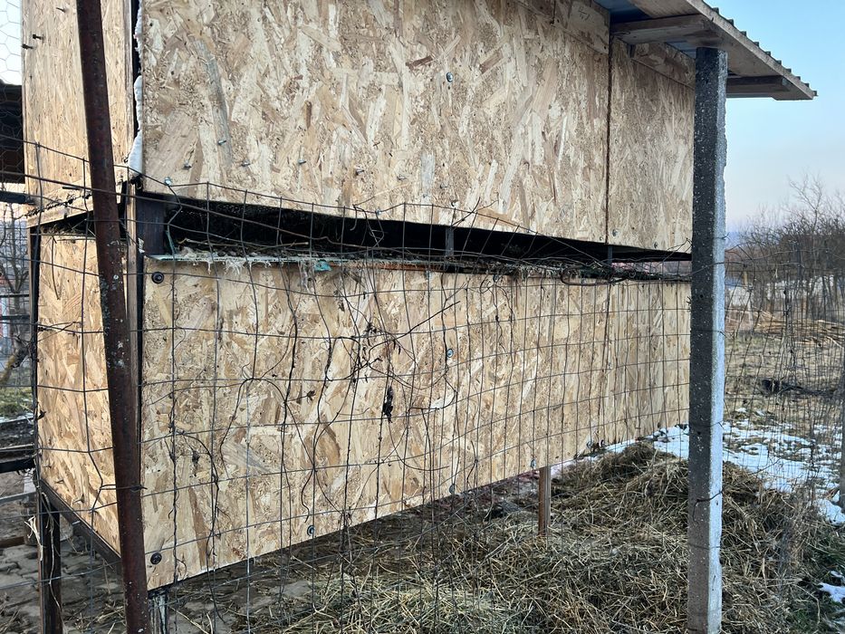 Cusca iepuri de vanzare cu 6 locuri