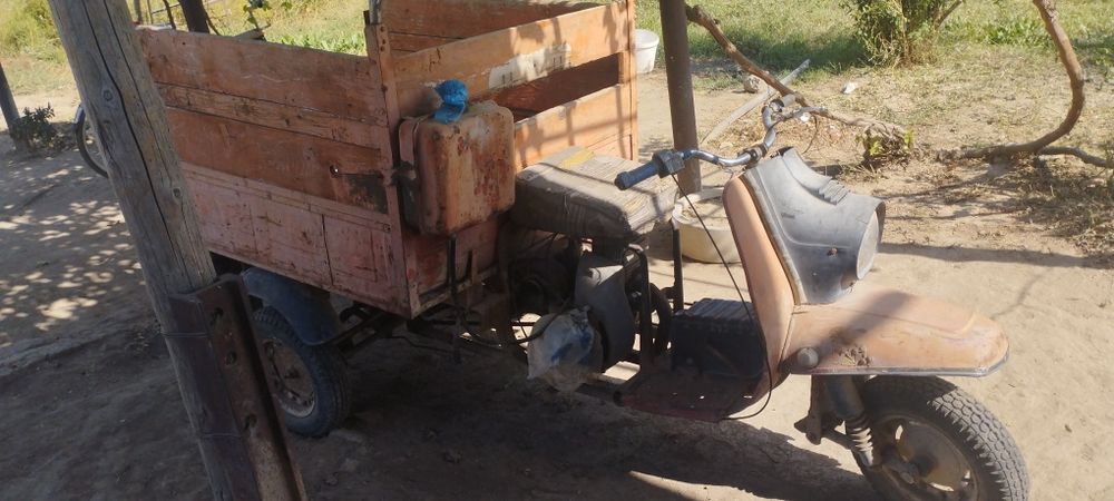 Муравей сатылады келісіммен Жетісайда