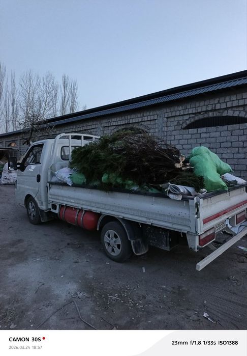 Вывоз строймусор мусор хлом 24 часа Чангам и лаба