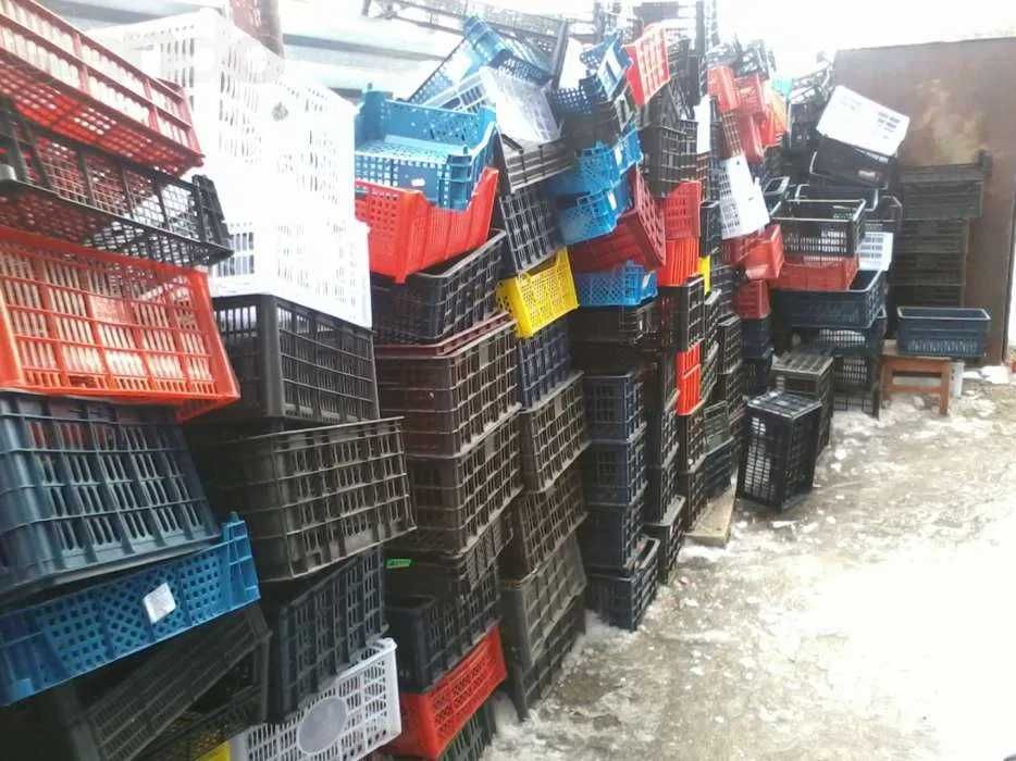 Ящики пластмасовые