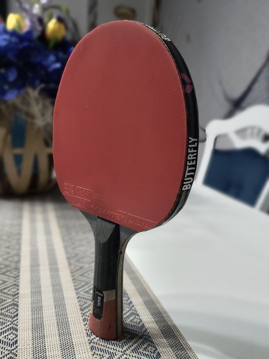 Ofertă Paletă  Stiga Pro Carbon!