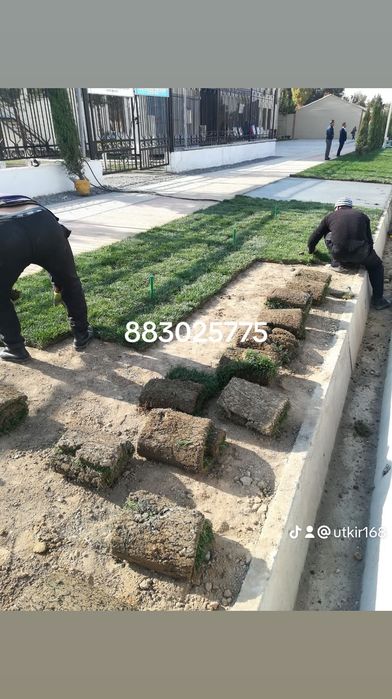 Ruloniy gazon ekish xizmati