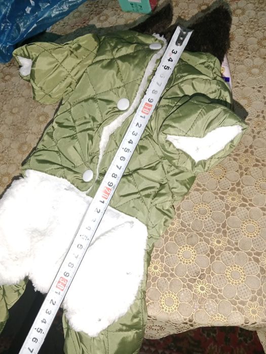 Шуба для собачек с игрушками