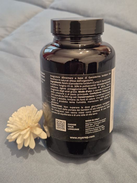 Reishi (Ganoderma) – Supliment natural pentru echilibru și susținerea organismului