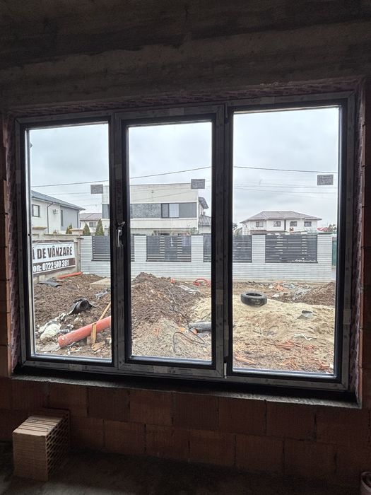 Termopane salamander