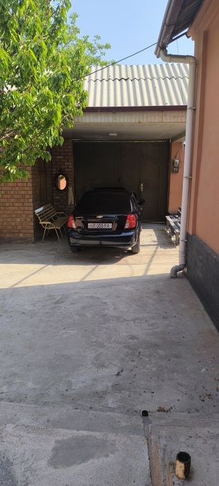 Жентра 2023 Краска тозза