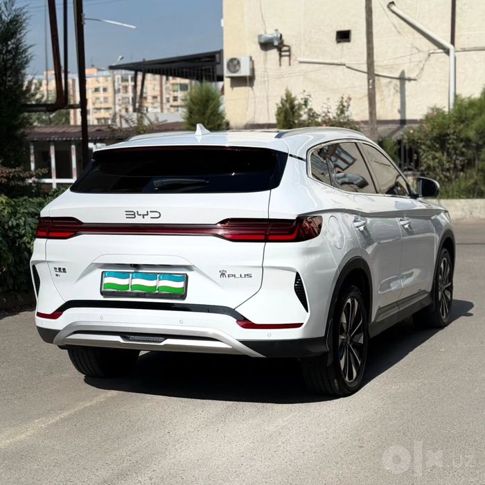 BYD Champion Restaling