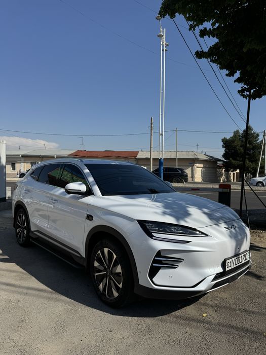 BYD chempion smart