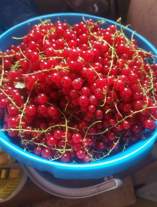 Продам дом Пришахтинск Обмен