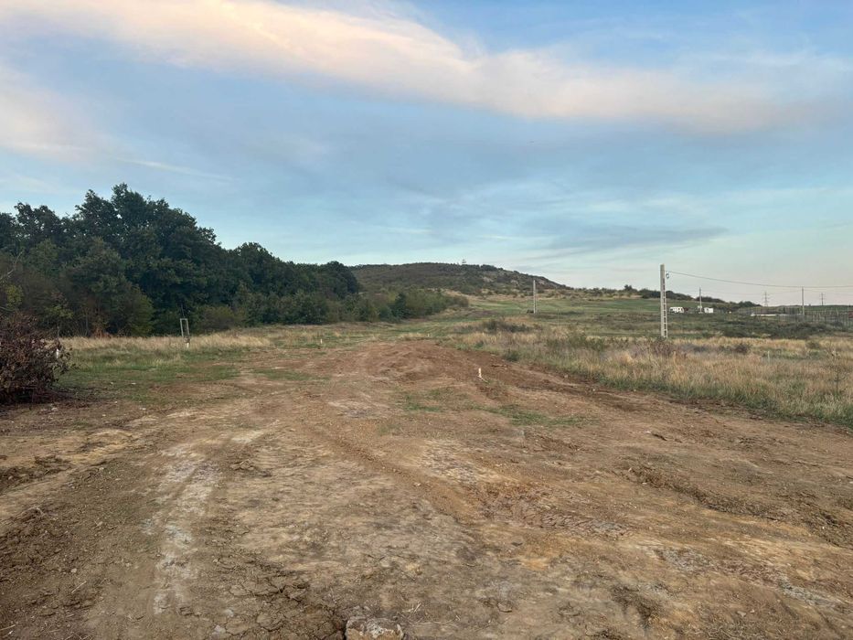 Vand teren intravilan in Betfia langa padure 1001 mp.