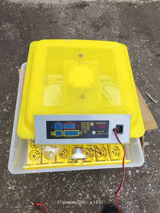 Инкубатор на 56 яиц.