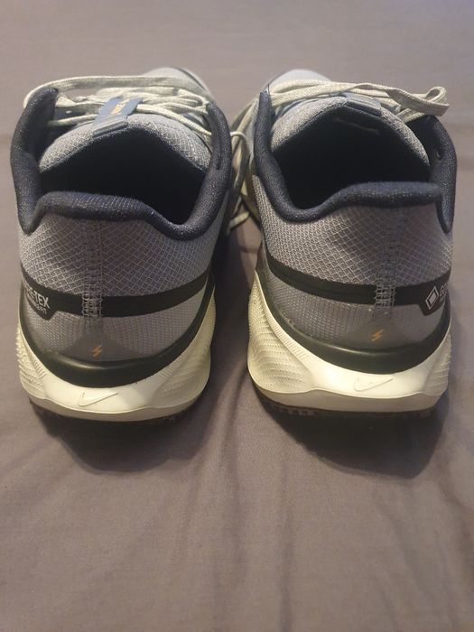 Nike pegasus goretex 43