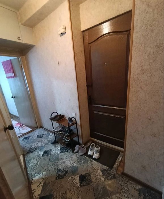 N6843 Olmazor tumani Qora qamish 2/4.   2/4/4