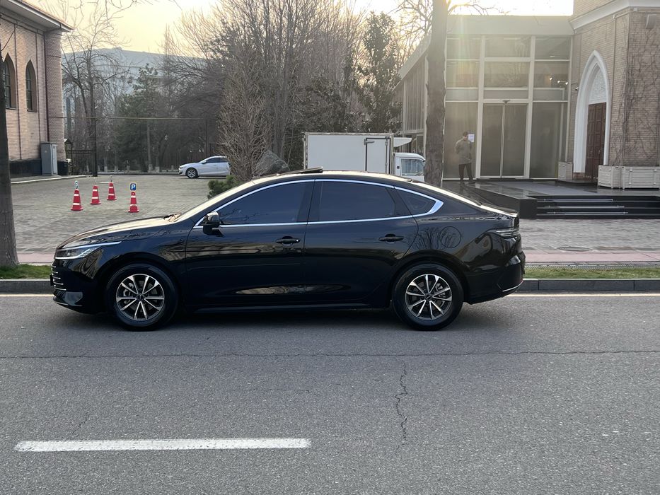 Byd chazor dm-i Luxe