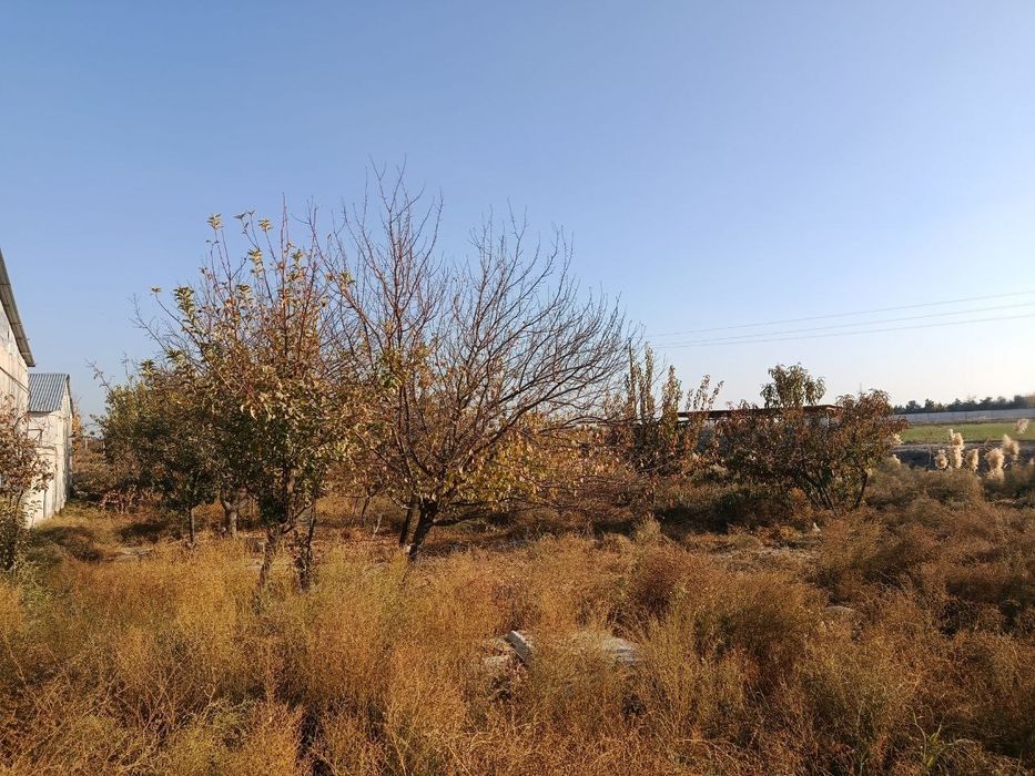 Продаётся участок 1.5  сотки,ор-р Мохи Хосса Ротдом