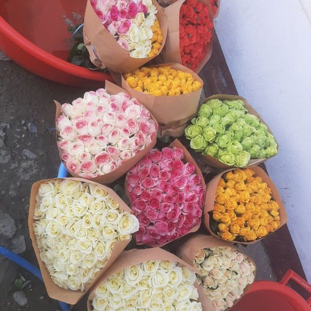 Atirgullar ishonchlik