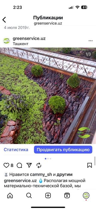 Рулонные газоны качественно.