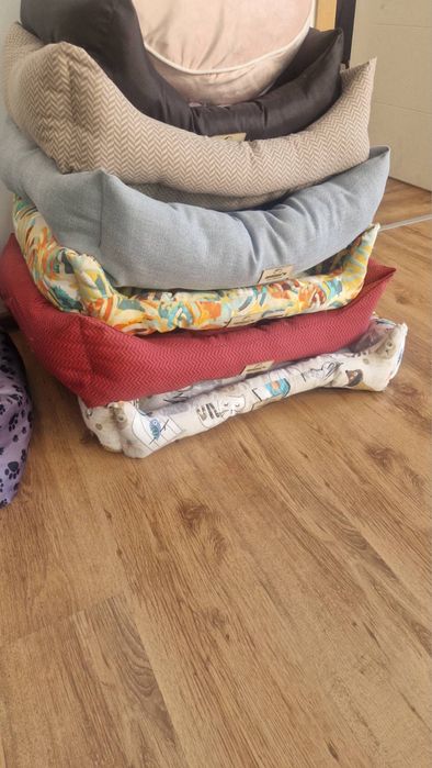 Кучешки легла