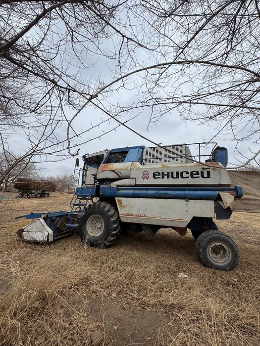 енисей 954 yili 2009