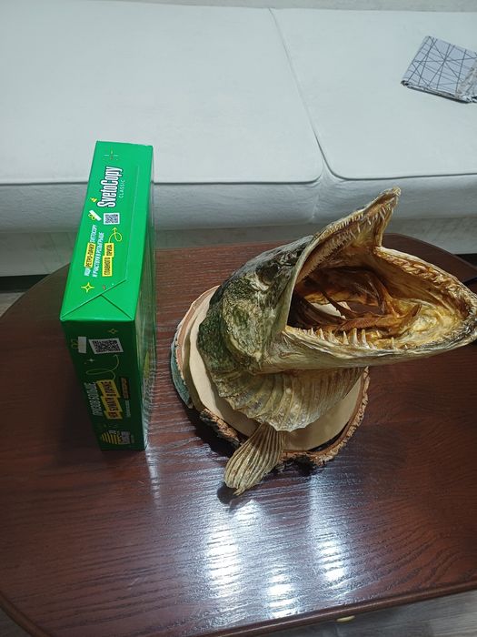 Чучело для бани и дома щука, сувенир