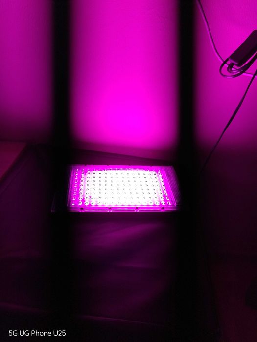 LED осветление за растения