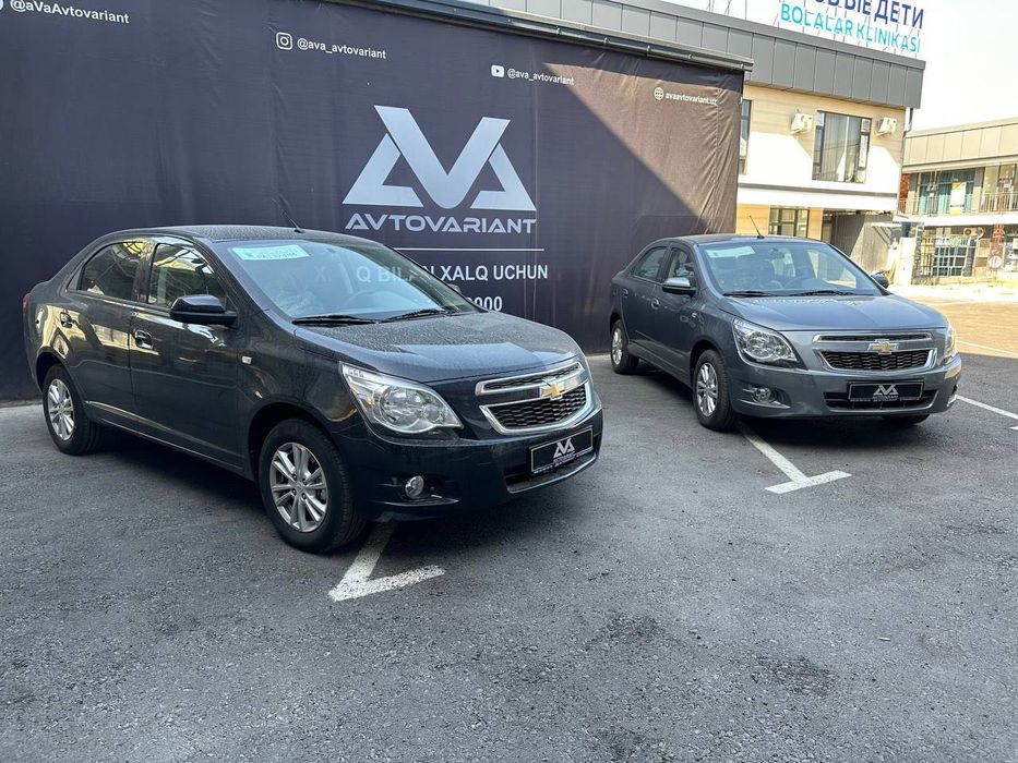 Arenda C Vikupom Cobalt A/T 2023 ava