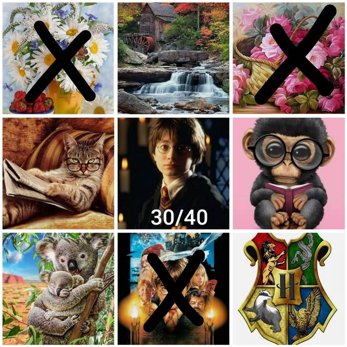 Диамантен гоблен/ Диамантени гоблени/ Комплект за изработване