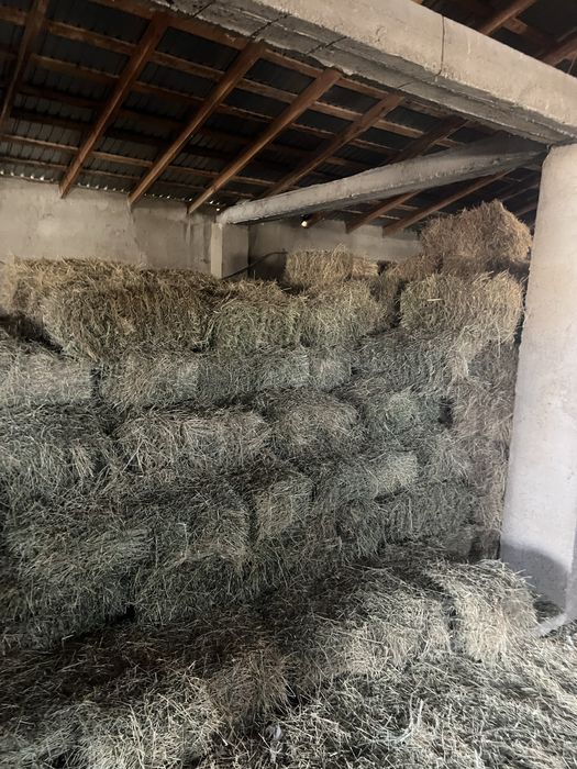 Прес, тюк бар сатылатын