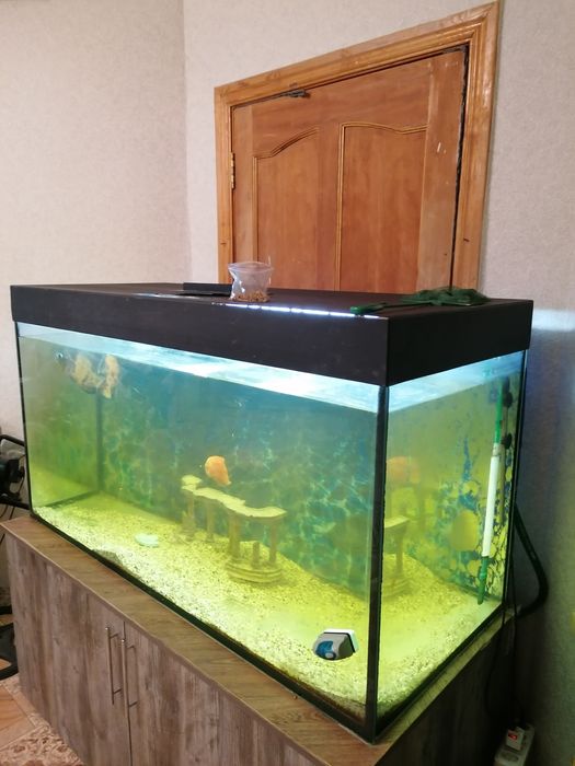 В отличном состоянии