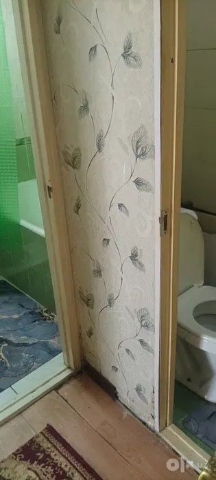 Сдается 3 ком Ганга Хадра