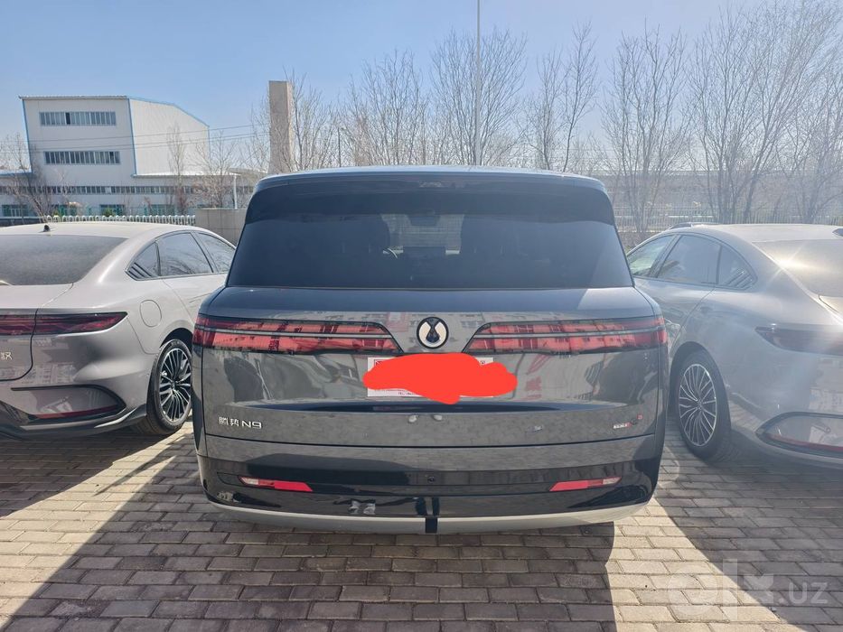 Denza N9 Flagship 2025