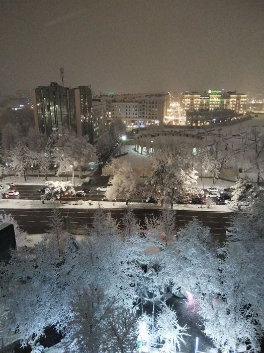 Сдается трехкомнатная квартира в центре города