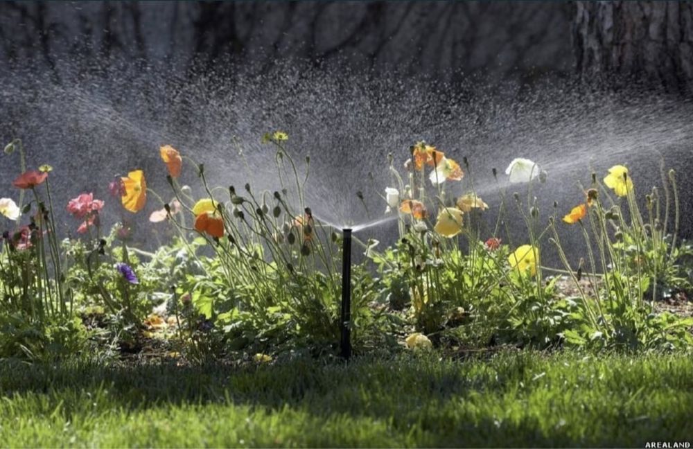 Газон и автополив