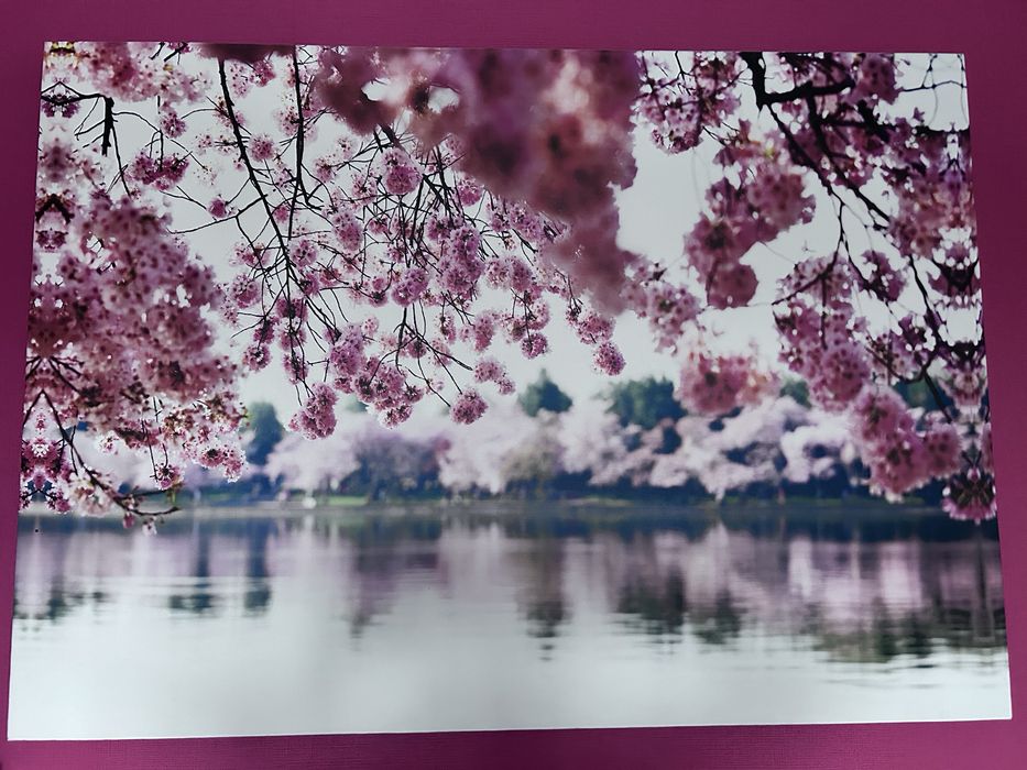 Картина 140/100см