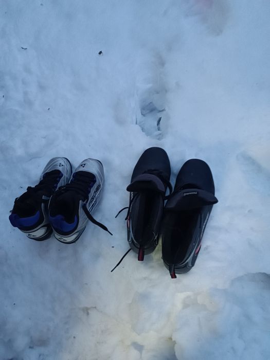 Продам лыжи Фишер