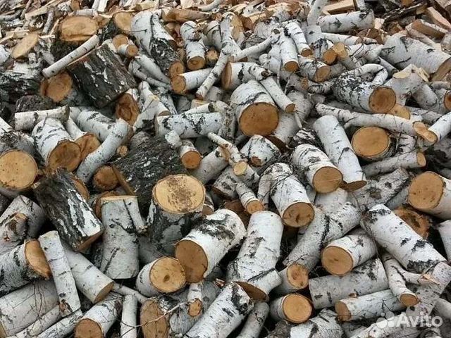 Продам дрова Береза