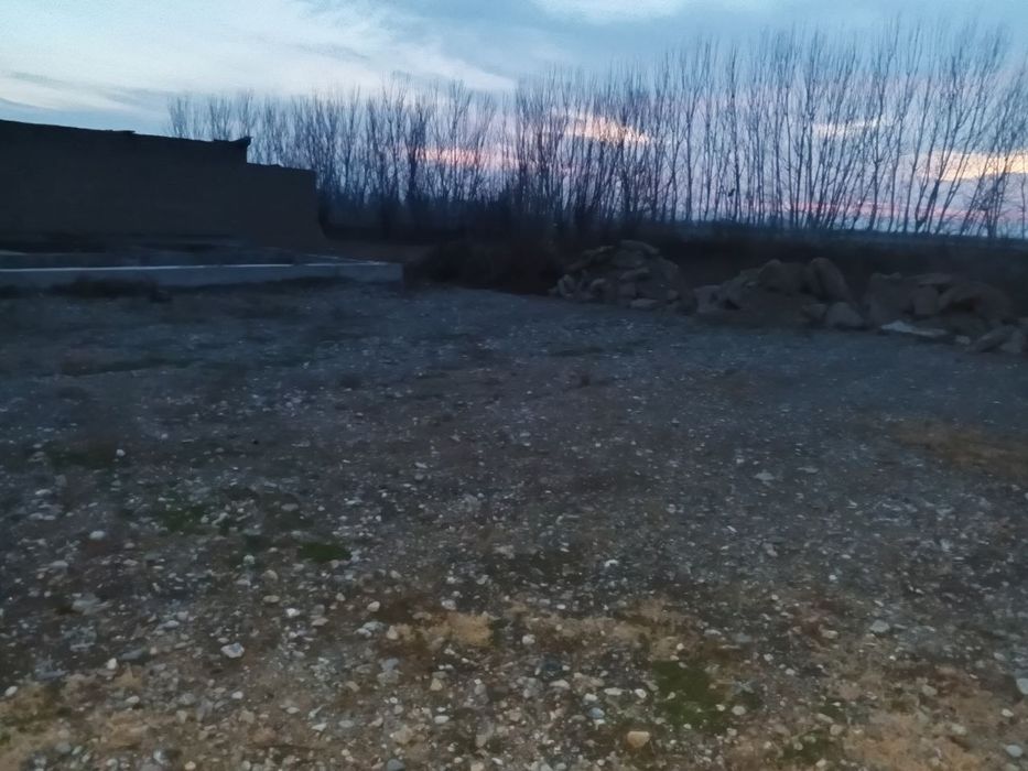 Срочна 8 сотх учаска сотилади 8000 болиши 7000