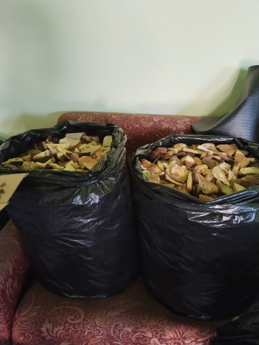 Малға жем (кептірілген нан)