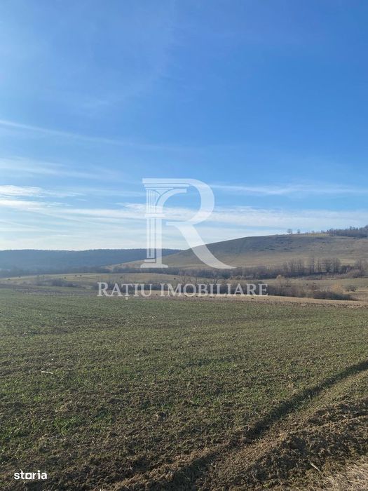 Teren extravilan de vanzare 3.900mp | Mierlau | Bihor