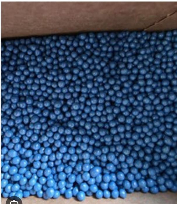 Продам семена сахарной свеклы