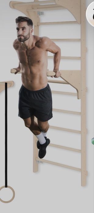 Bare pentru dip-uri (accesoriu spalier gimnastica )