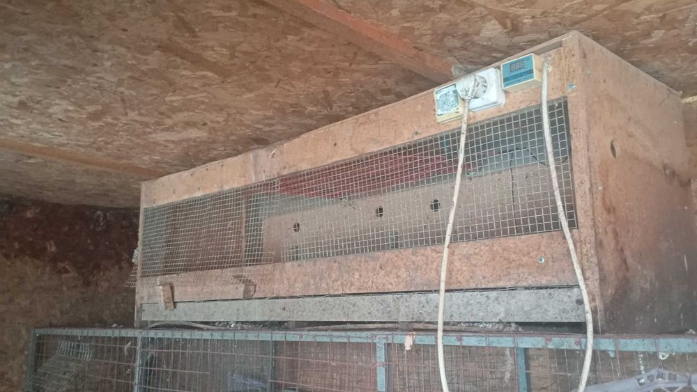 Брудер для птицы разнной